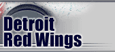 Detroit red wings